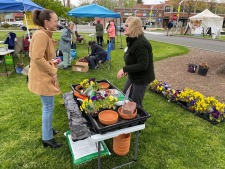 Windsor Garden Club Fall Garden Mart