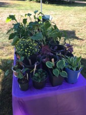Windsor Garden Club Fall Garden Mart