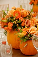 Windsor Garden Club November Hands-On and Business Meeting